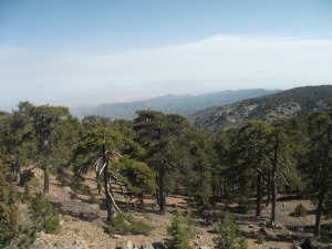 The Troodos Mountains - for some reason I received a text on my phone here saying "Weclome to Turkey", even though we were still on the Greek side of the island